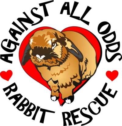 Against All Odds Rabbit Rescue