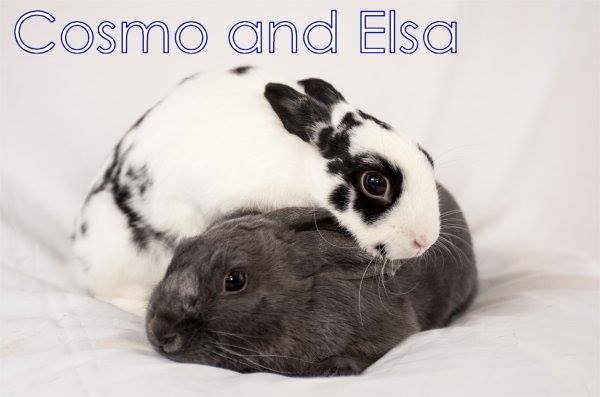 Cosmo & Elsa