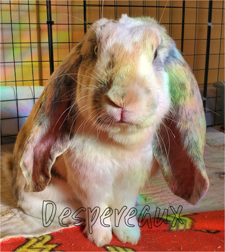 Despereaux